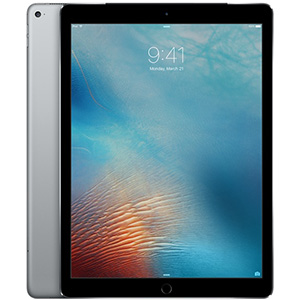 Apple iPad Wi-Fi+Cellular 32GB MP1L2J A… iPad Gen5 (2017) Wi-Fi +