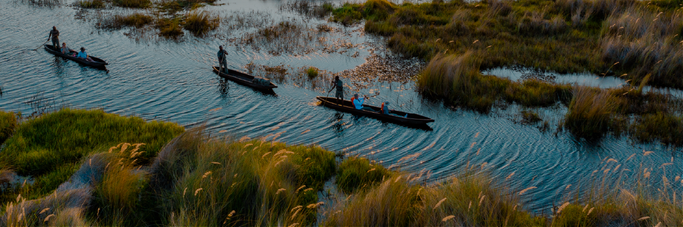 THE ESSENCE OF AFRICA